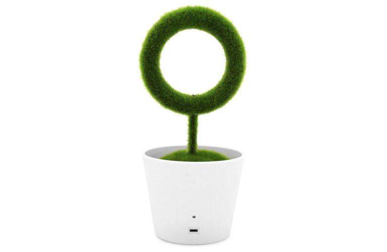 Plant Air Purifier