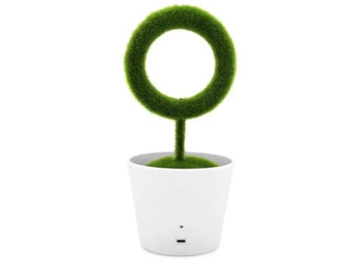 PLANT AIR PURIFIER